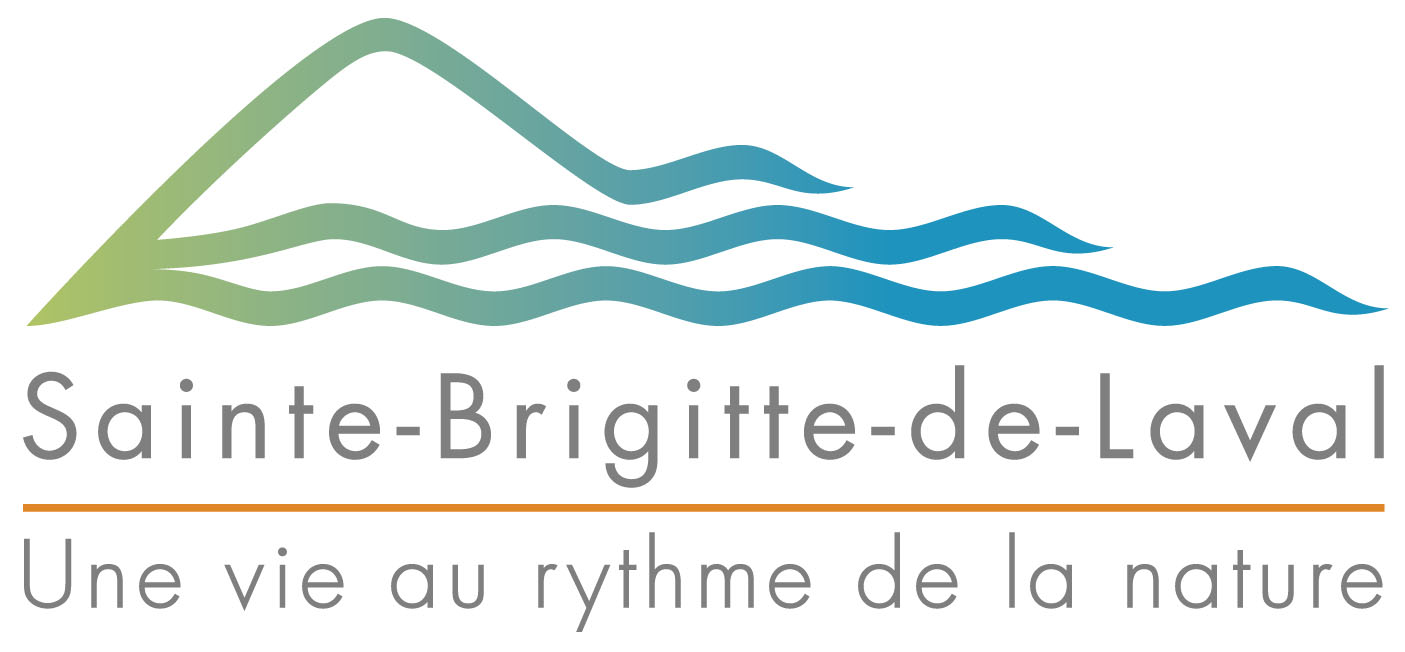 LOGO_VilleSBDL_2020.jpg